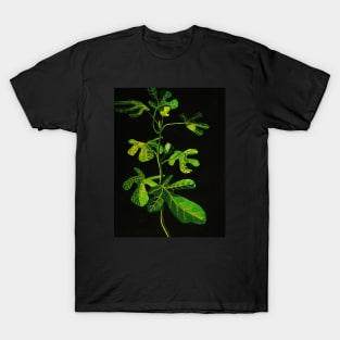 Ficus T-Shirt